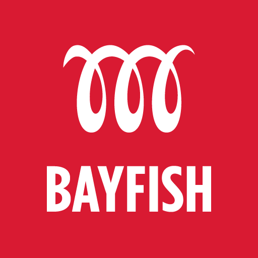 Bayfish Creative profile on Qualified.One