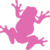 Pink Frog Interactive, Inc. profile on Qualified.One