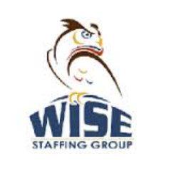 Wise Staffing Group profile on Qualified.One