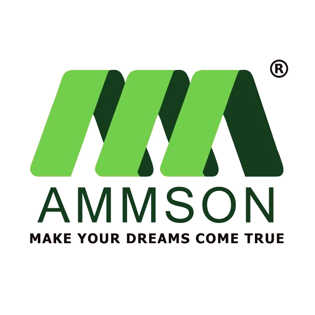 Ammson International Tech Solutions Private Limited profile on Qualified.One
