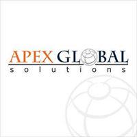 Apex Global Solutions profile on Qualified.One