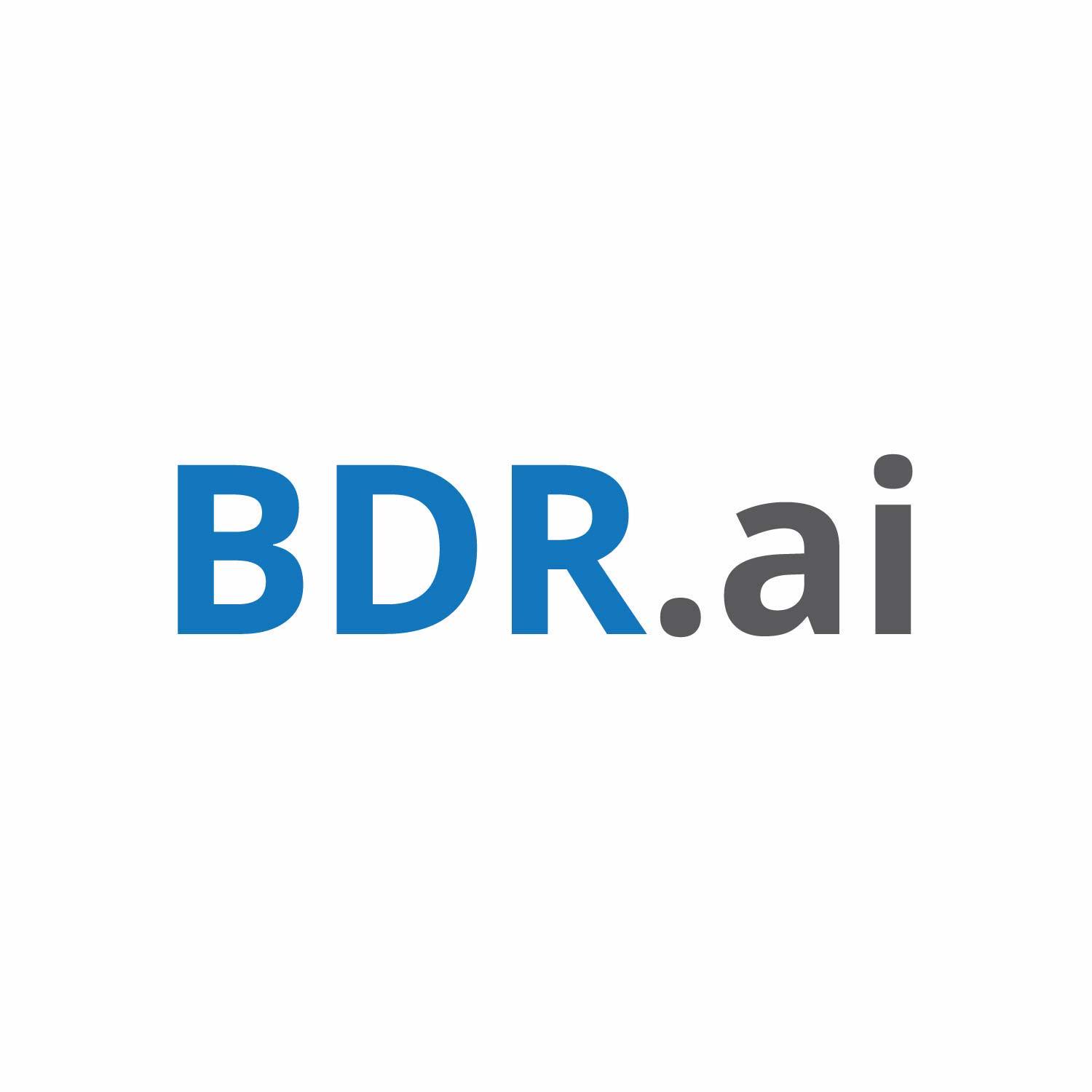 BDR.ai profile on Qualified.One
