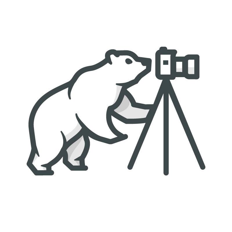 Bear Cam Media profile on Qualified.One