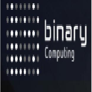 Binary Computing profile on Qualified.One