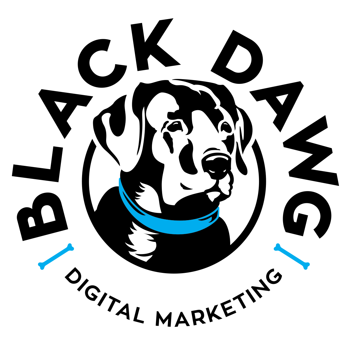 Black Dawg Digital Marketing profile on Qualified.One
