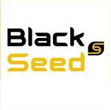 BlackSeed profile on Qualified.One