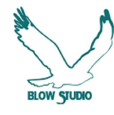 Blow Studio profile on Qualified.One