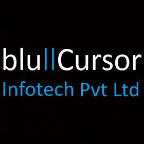 bluCursor Infotech Private Limited Qualified.One in Indore