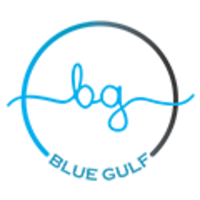 Blue Gulf profile on Qualified.One