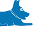 Blue Lacy SEO profile on Qualified.One