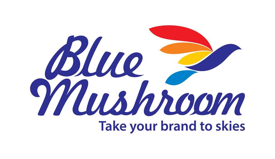 Blue Mushroom Infozone Pvt Ltd Qualified.One in Mumbai