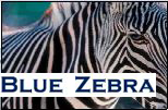 Blue Zebra profile on Qualified.One