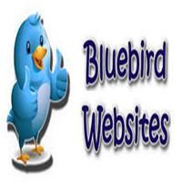 Bluebird Websites profile on Qualified.One