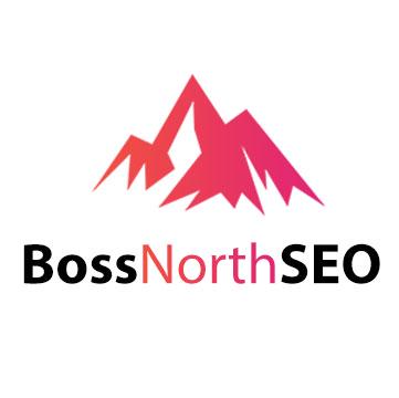 Boss North SEO profile on Qualified.One