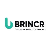 Brincr profile on Qualified.One