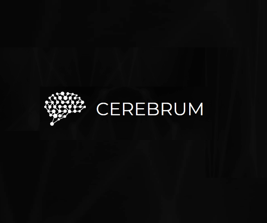 Cerebrum Infotech profile on Qualified.One