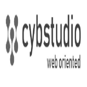 Cybstudio Web Oriented profile on Qualified.One
