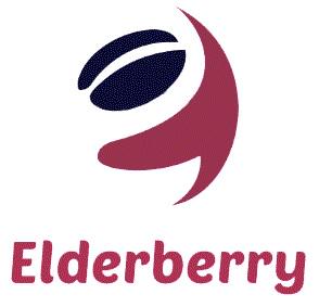 Elderberry Tech profile on Qualified.One