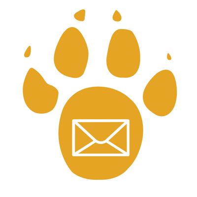 Email Lions profile on Qualified.One
