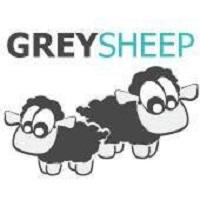 Grey Sheep Digital profile on Qualified.One