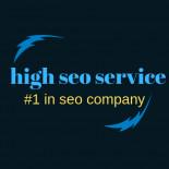 High seo service profile on Qualified.One