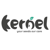 Kernel BD Corporation profile on Qualified.One