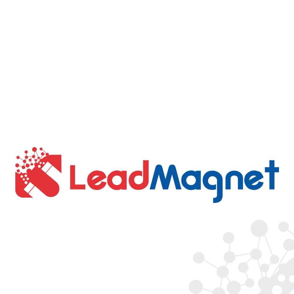 Lead Magnet profile on Qualified.One