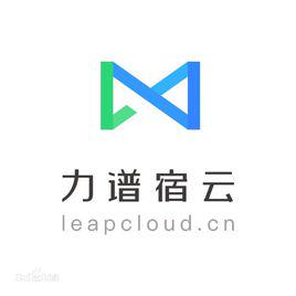 Leap Cloud profile on Qualified.One