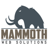 Mammoth Web Solutions profile on Qualified.One