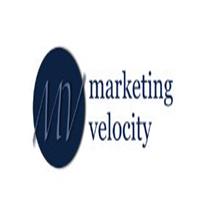 Marketing Velocity profile on Qualified.One