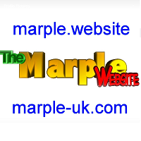 Marple Website profile on Qualified.One