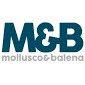 Mollusco & Balena - Web Agency profile on Qualified.One