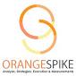 Orangespike Inc profile on Qualified.One