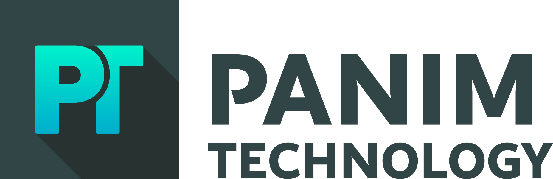 Panim Technology profile on Qualified.One