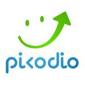 Picodio Digital Agency profile on Qualified.One