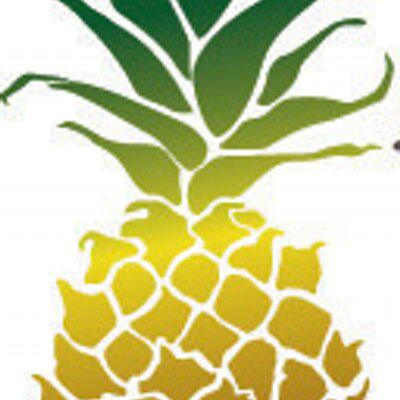 Pineapple Tweed Public Relations and Marketing profile on Qualified.One