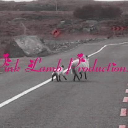 Pink Lamb Productions profile on Qualified.One