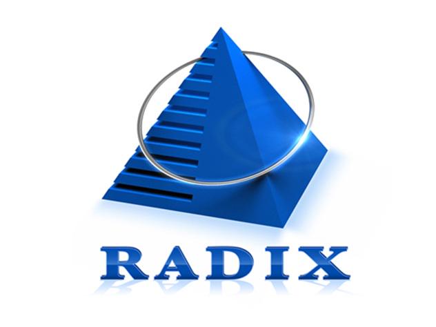 Radixweb Qualified.One in Ahmedabad