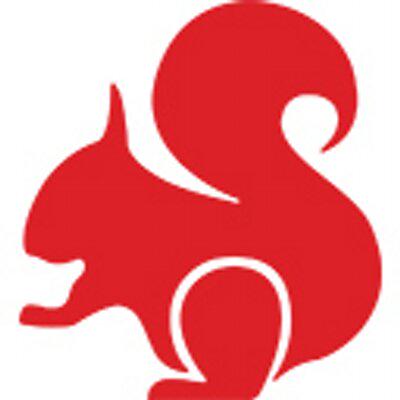 Red Squirrel Digital profile on Qualified.One