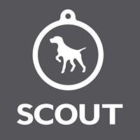 SCOUT Marketing profile on Qualified.One