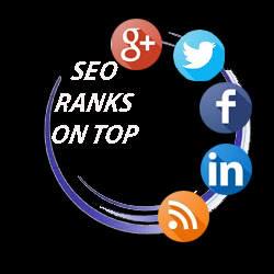 SEO Ranks On Top profile on Qualified.One