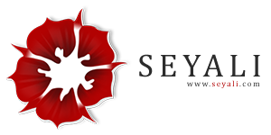 Seyali Technology Private Limited profile on Qualified.One