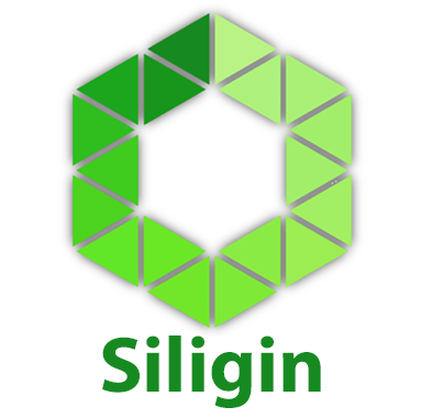 Siligin Software profile on Qualified.One