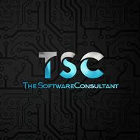 The Software Consultant profile on Qualified.One