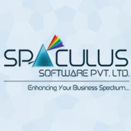 Spaculus Software Pvt. Ltd. profile on Qualified.One