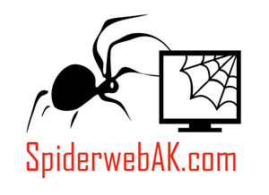 Spiderweb Computers profile on Qualified.One