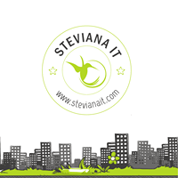 Steviana IT profile on Qualified.One