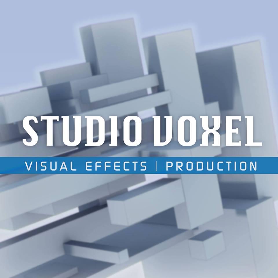 Studio Voxel profile on Qualified.One
