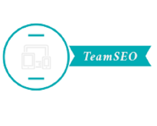 TeamSEO profile on Qualified.One