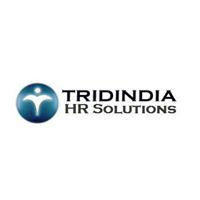 Tridindia HR Solutions profile on Qualified.One